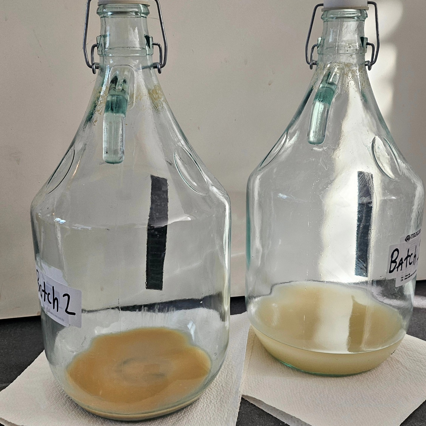 Glass carboys fermenting batch two