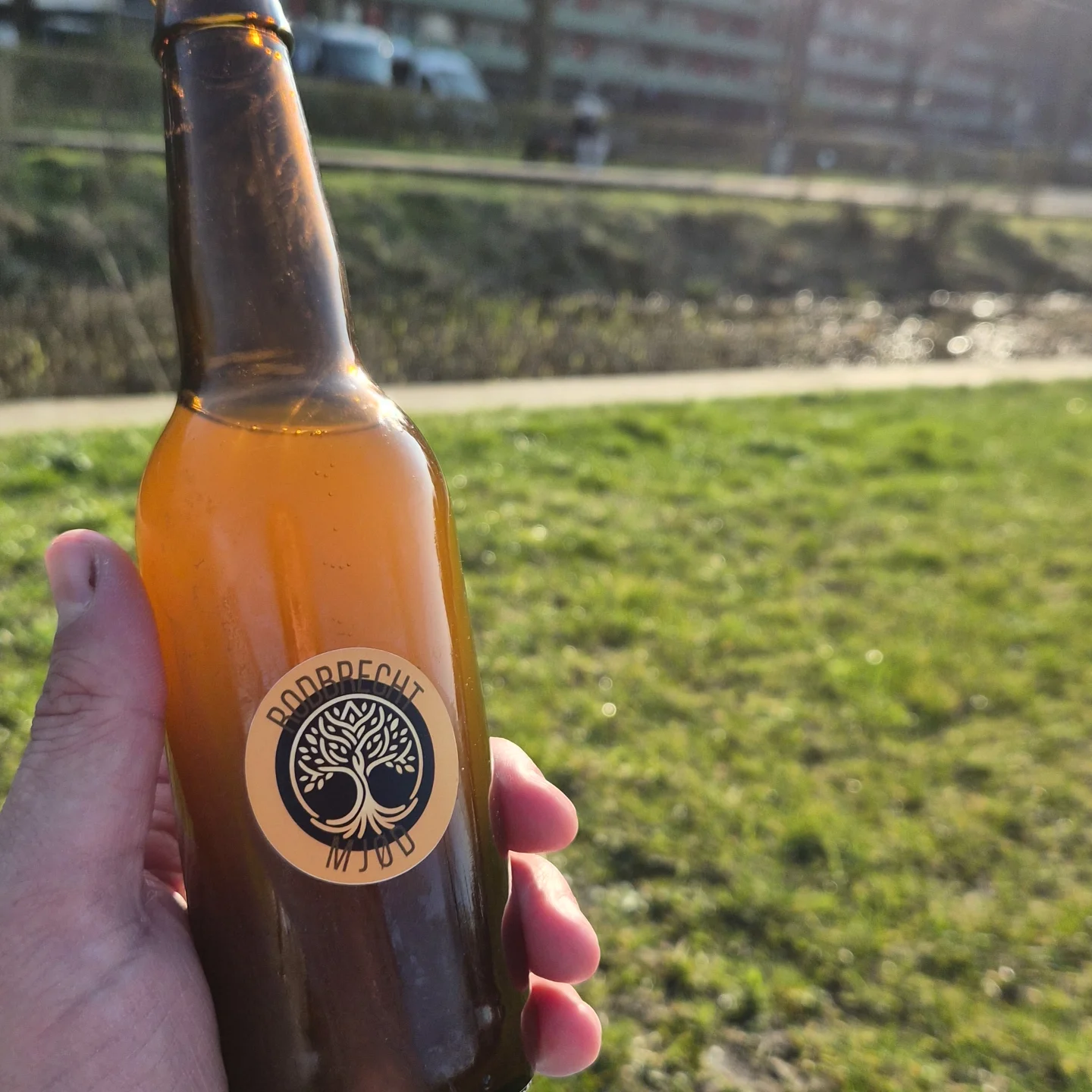 Rodbrecht Mjød bottle in golden hour sunlight