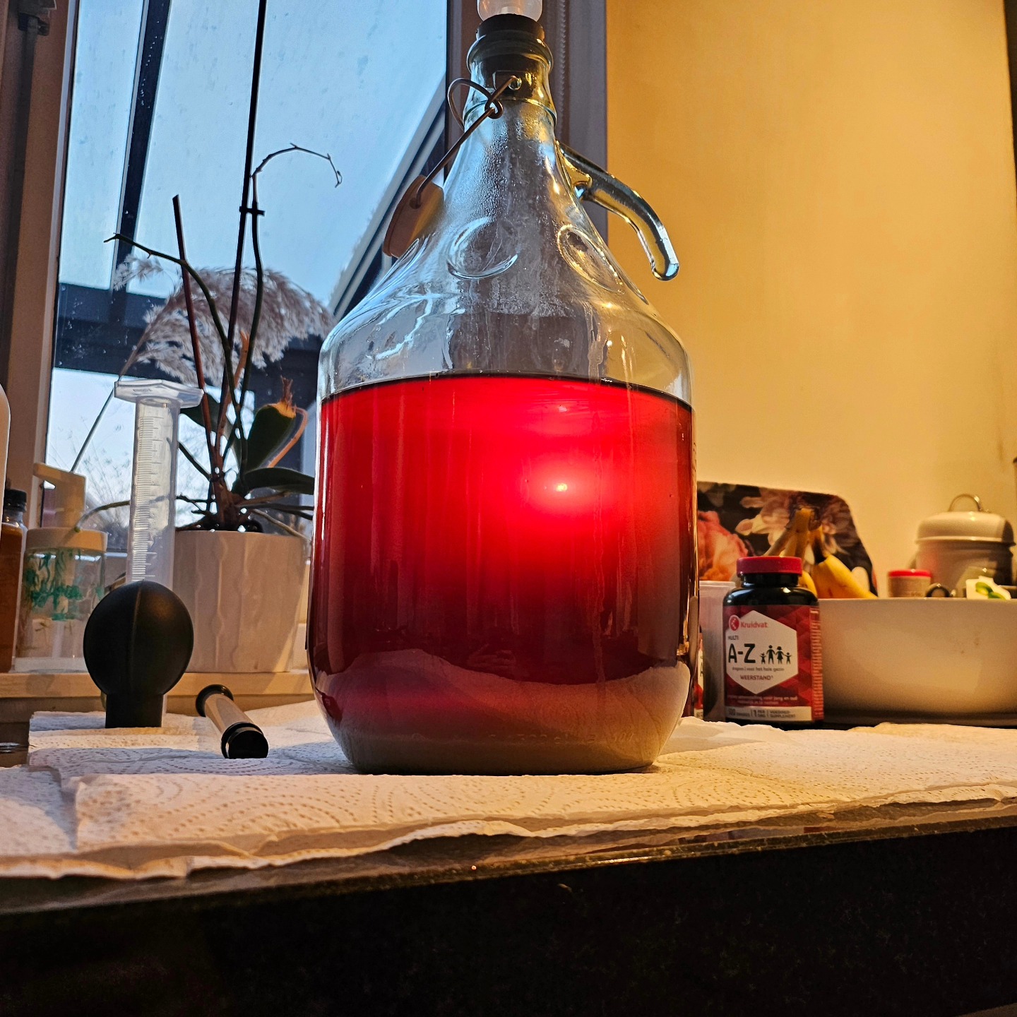 Red berry mead glowing in carboy